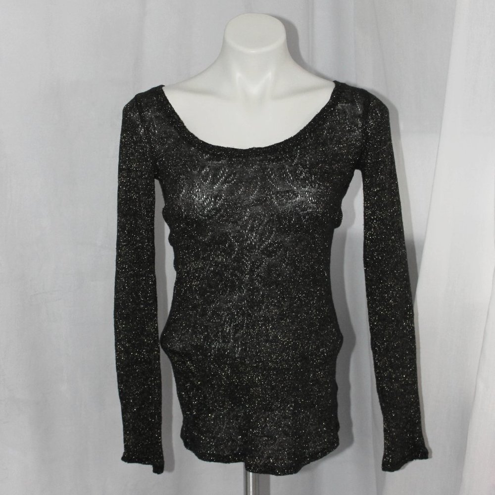 Express Sheer Lace Knit Long Sleeve Sparkly Top